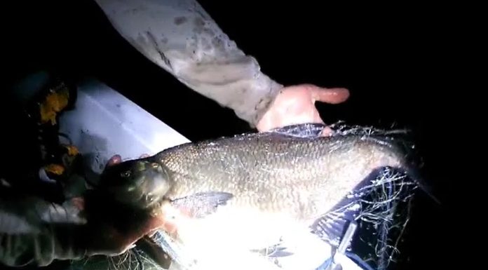 Braconieri prinși pe un lac din județul Bacău. Au fost găsite peste 100 de kilograme de pește