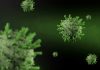 Cazuri de norovirus la un spital din Grecia. Conducerea a impus protocoale de prevenire a răspândirii bolii