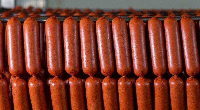 Importurile de carne din Brazilia, interzise în UE din luna septembrie, în pofida acordului Mercosur