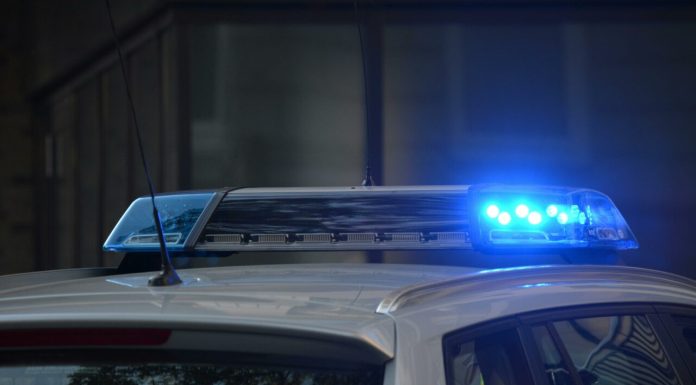 Percheziții ale polițiștilor în Sectorul 4, într-un dosar de camătă. Interlopi din clanul Ștoacă percepeau dobânzi de 30%