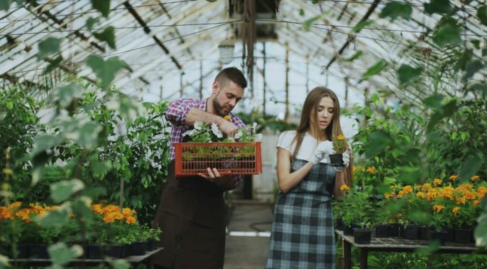 Zilele Horticulturii Bucureștene. Peste 120 de producători locali și expozanți, prezenți