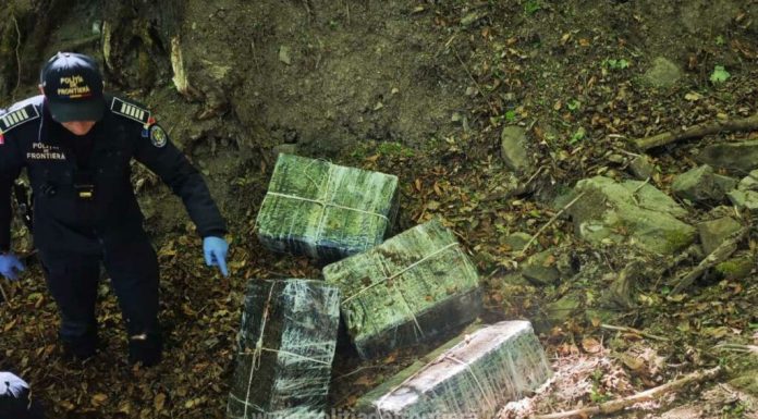Maramureș: Mii de pachete de țigări ascunse în pădure și în mobilier