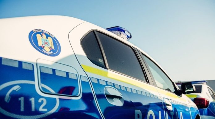 Olt: Un bărbat dus la o secţie de poliţie după ce fusese implicat într-un conflict a fost muşcat de un câine fără stăpân/ Victima a fost transportată la spital cu maşina de poliţie/ IPJ face verificări în acest caz