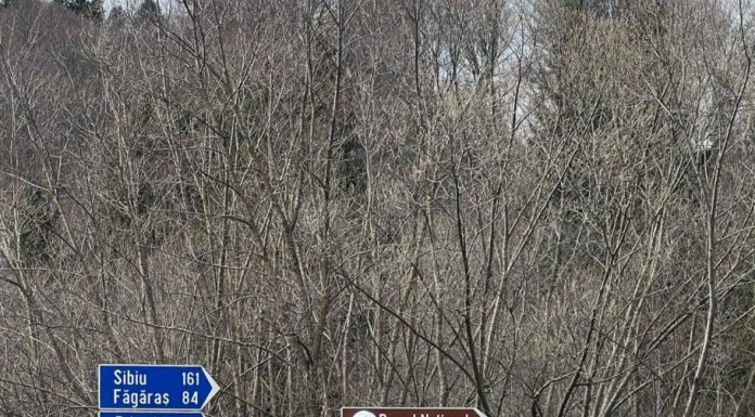 Razie națională a Poliției Rutiere: peste 130 de șoferi depistați băuți la volan și 10 sub influența drogurilor