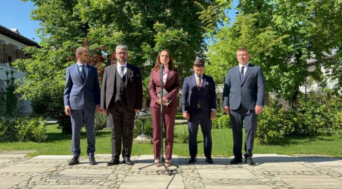 Lidera POT, după consultări: Vom susține orice formulă pro-occidentală