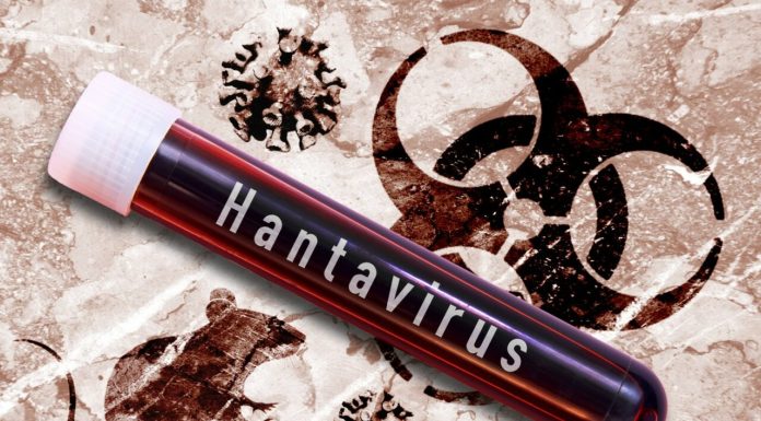 Zeci de cazuri de hantavirus, raportate anual în Ucraina. Autoritățile sanitare avertizează asupra riscurilor de infectare