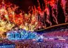 UNTOLD 2026 – Denzel Curry, GORDO, Shimza, Pendulum completează lineup-ul festivalului/ Programul pe zile
