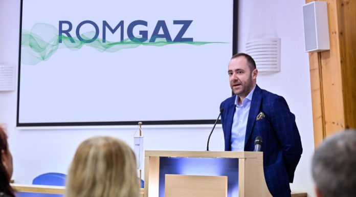 Romgaz a ajuns la un acord cu Azomureș pentru preluarea combinatului chimic. Pașii până la finalizarea tranzacției