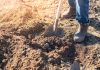 Un bărbat din Giurgiu a sunat la 112 după ce a făcut o descoperire neașteptată în timp ce săpa în grădină
