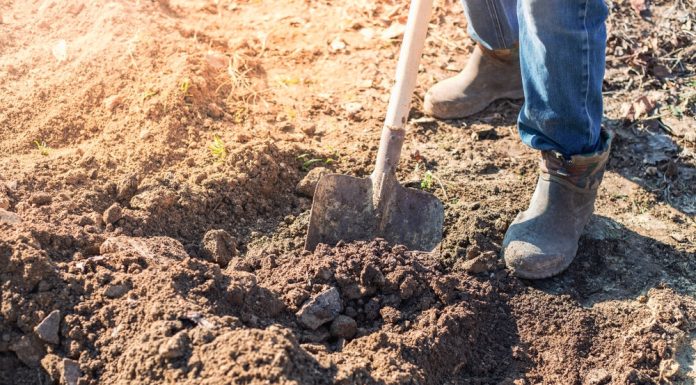 Un bărbat din Giurgiu a sunat la 112 după ce a făcut o descoperire neașteptată în timp ce săpa în grădină