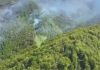 Incendiu de vegetație în Caraș-Severin. Zeci de pompieri și un elicopter intervin într-o zonă greu accesibilă