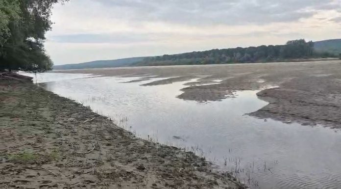 Dunărea a secat în zona Piscu Vechi din Dolj