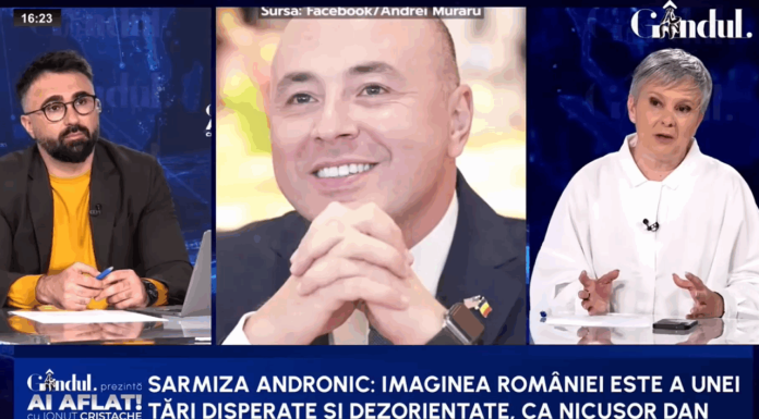 Discretul contract de lobby al lui Nicușor Dan. Sarmiza Andronic: Imaginea României acum este a unei țări dezorientate și disperate
