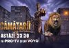 „Au dat peste mine, ăsta a fost singurul lor ghinion”. Cămătarii, premieră pe VOYO și PRO TV