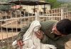 Un militar israelian care a profanat o statuie a Fecioarei maria în sudul Libanului, condamnat la trei săptămâni de detenţie