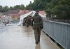 Militarii austrieci pot purta părul lung, prins în coc sau coadă, după o decizie a Curții Constituționale