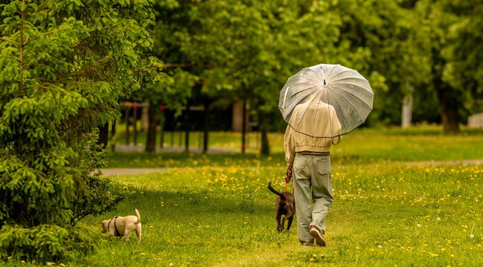 Cum va fi vremea la finalul lunii mai. Meteorologii anunță când vine căldura în toată țara