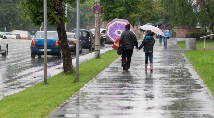 Cod galben de vânt puternic în trei județe. Vor fi rafale de până la 80 km/h la munte
