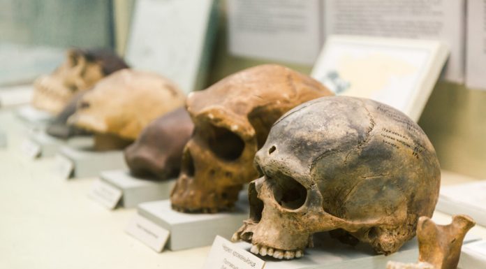 Descoperire uimitoare. Neanderthalienii tratau cariile cu unelte din piatră acum 60.000 de ani
