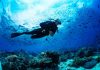 Accident la diving în Maldive: cinci italieni și-au pierdut viața. 112 turiști au pierit în incidente maritime în ultimii 6 ani