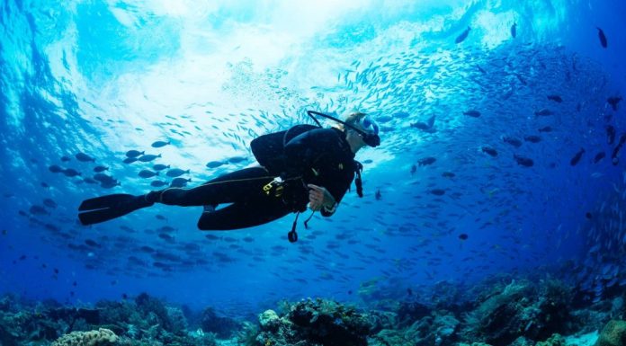 Accident la diving în Maldive: cinci italieni și-au pierdut viața. 112 turiști au pierit în incidente maritime în ultimii 6 ani