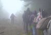 Viața la sat revine în preferințele turiștilor din România. Mărginimea Sibiului devine destinație de top în mai