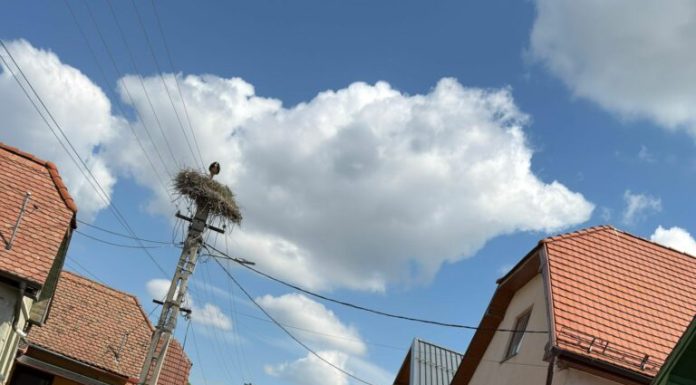 Un bărbat a ajuns la spital cu un picior strivit de un motocultor