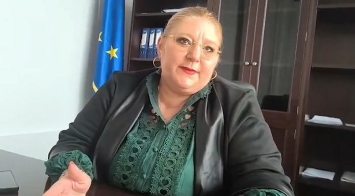Gândul a aflat cum va vota Diana Şoşoacă şi SOS la moţiunea anti-Bolojan, de marţi: „Orice ai face, ești într-o situație cumplită”