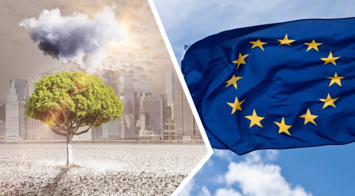 Politicile climatice ale României, fără busolă. „Actor periferic în dezbaterile europene, nu există un consens legislativ pentru înființarea unui consiliu consultativ pentru climă”
