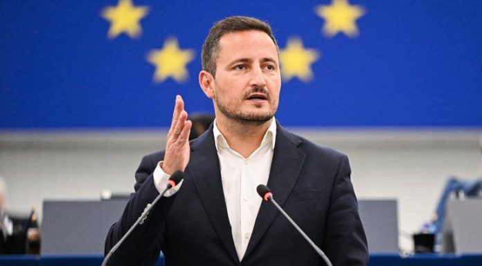 Nicu Ștefănuță avertizează: „Avem o coaliție Georgescu”