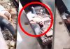 Gest incredibil în Bangladesh. Un tată a devenit scut uman pentru a-și proteja fiul care a căzut pe șinele de tren
