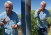 Care este marea iubire a şefului Curţii de Conturi. Eugen Orlando Teodorovici face dezvăluirea într-un lan de rapiţă.