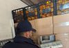 Captură uriașă la Giurgiu: Țigări de peste 2 milioane de euro, ascunse într-un transport de portocale
