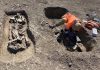 Scheletul unui războinic îngropat alături de calul său, piese din aur, argint şi bronz, descoperite pe traseul Centurii Vest Timişoara – FOTO