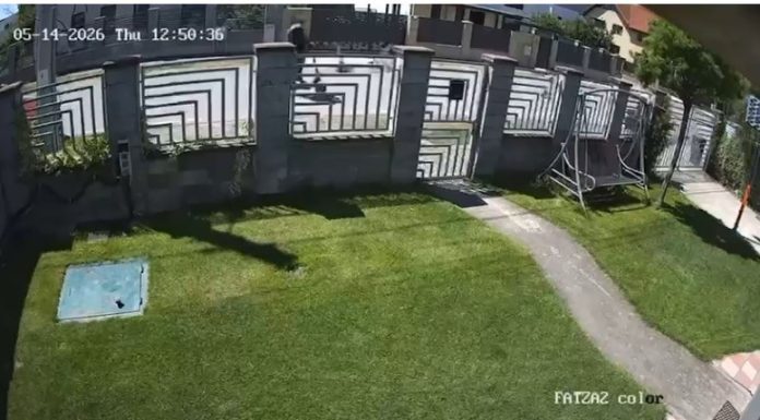 Copil de 14 ani din Timiş, în comă la spital, după ce a căzut cu trotineta electrică/ A plecat de la şcoală împreună cu alţi colegi