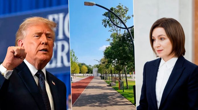 Sectorul 4 a votat. Donald Trump câștigă detașat în fața Maiei Sandu. O tarla din parcul Arghezi va purta numele actualului președinte SUA