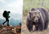 Un turist străin a fost atacat de un urs, pe Transfăgărășan, după ce l-a hrănit. Incidentul a fost filmat