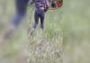 Un bărbat a fugărit un urs cu lopata în Vâlcea. Semnalul de alarmă tras de jandarmi după incident. VIDEO