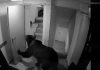 Incident grav în Poiana Brașov. Un urs a intrat într-un hotel, după ce a forțat ușa de la intrare