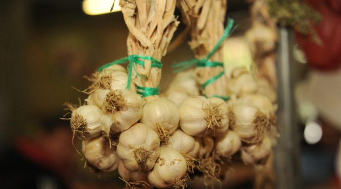Ajutor de minimis de 3.000 euro/ha pentru cultivatorii de usturoi