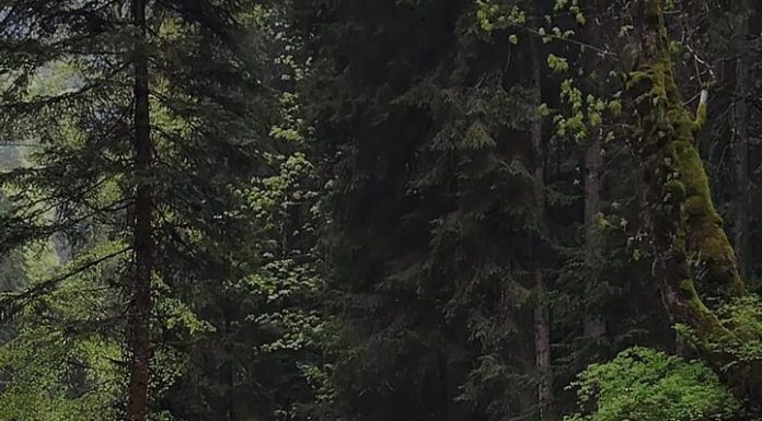 Turiştii care merg la munte, în Braşov, sfătuiţi să evite deplasările pe văile nordice din Munţii Făgăraş, unde se pot produce viituri, în urma ploilor torenţiale