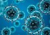 Un nou tip de coronavirus a fost identificat la lilieci în Thailanda