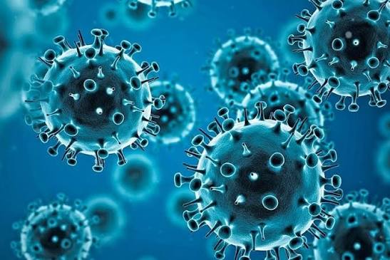 Un nou tip de coronavirus a fost identificat la lilieci în Thailanda