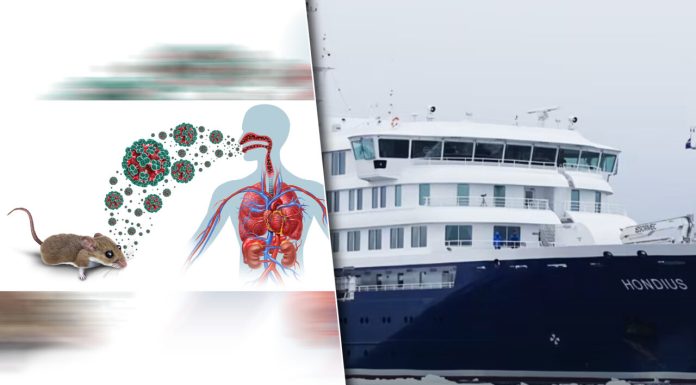 Medicii încearcă să evacueze doi pasageri de pe vasul din Cabo Verde după ce un german și doi olandezi au murit de la infecția cu hantavirus