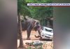 Un elefant a atacat oameni și a aruncat mașinile ca pe niște jucării la un templu din India. Animalul a ucis un om