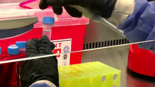 Simptomele prezentate de bărbatul suspectat că ar avea hantavirus, în Arad. În ultimii doi ani a fost izolat într-un spital