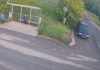 Alertă în Cluj după apariția unui urs pe o stradă dintr-o comună. Autoritățile le cer localnicilor să evite zonele izolate