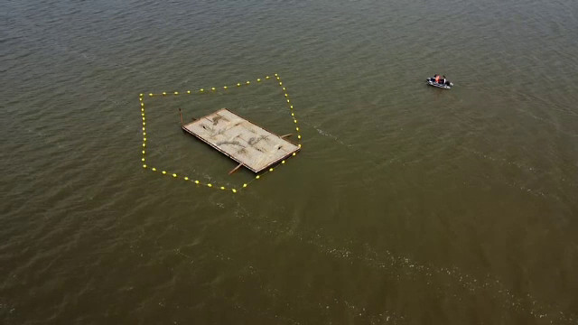 Insule plutitoare au fost instalate pe Lacul Bistreț pentru păsările sălbatice, Zona se întinde pe aproape 2.000 de hectare