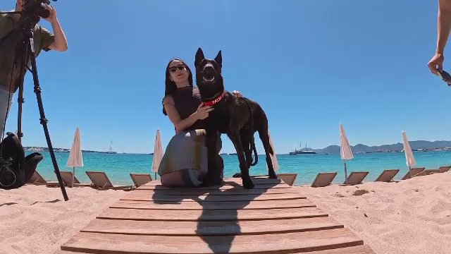 La Cannes au fost premiați și cei mai buni câini actori. Un metis pe nume Yuri a câștigat trofeul „Palm Dog”