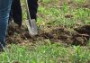 Un bărbat a sunat la 112 după ce a făcut o descoperire macabră pe un câmp din Maramureș, în timp ce își plimba câinele